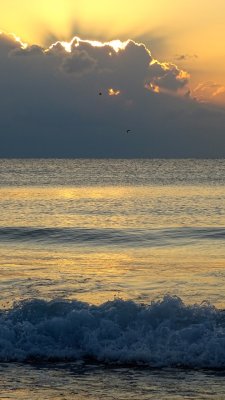 Playa del Carmen Sunrise