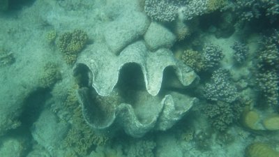 g10/41/570641/3/168154072.onMVClxA.jpg