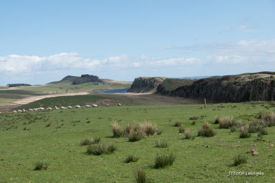 Hadrian's Wall