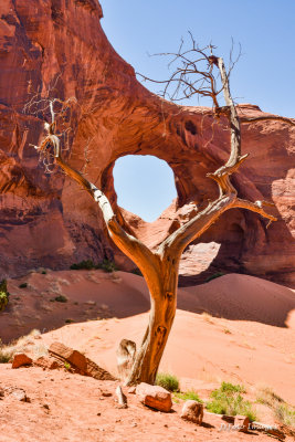 ARCHES - Utah