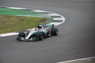 DSC_1010.jpg