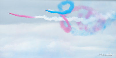 DSC_1146.jpg