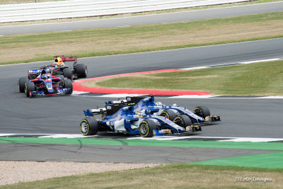 DSC_1185-2.jpg