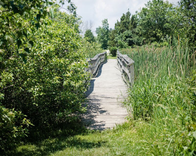 Wooden Bridge