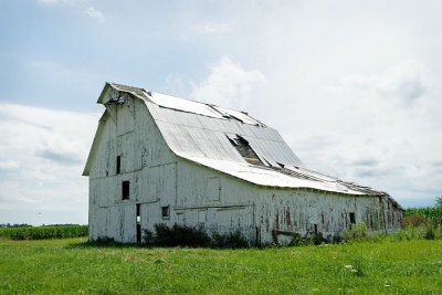 White Barn Needs Roof Repair