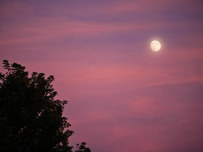 Pink Sky n Moon