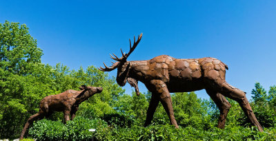 Moose n Calf Statue