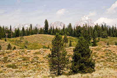 Teton Terrain