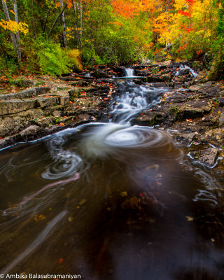 Of Magical Acadia