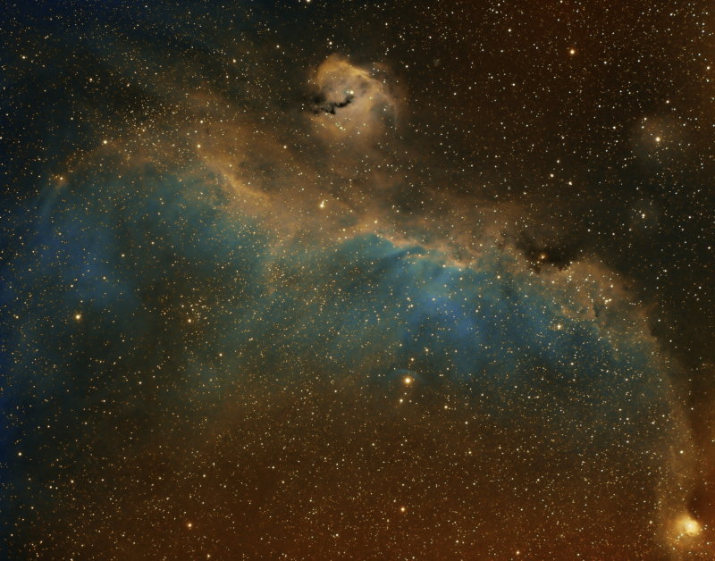 Seagull Nebula IC 2177 in Hubble Palette