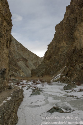 Himalayan landscape_Hemis NP (Ladakh)