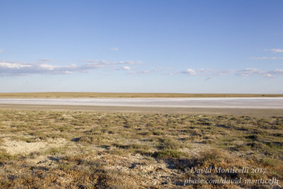 Kazakh Steppe west of Inderbor (Atyrau Oblast)