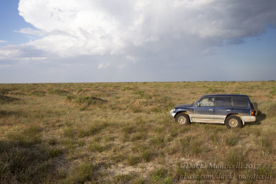 Kazakh Steppe south-west of Atyrau (Atyrau Oblast)