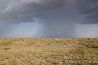 Kazakh Steppe south-west of Atyrau (Atyrau Oblast)