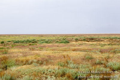 Kazakh Steppe west of Inderbor (Atyrau Oblast)