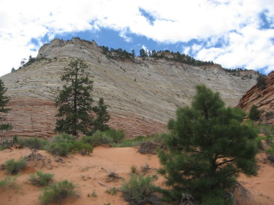 Zion Park Utah