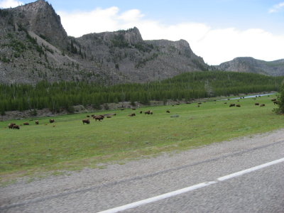 Yellowstone Park