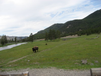 Yellowstone Park