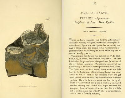 Millerite illustrated in Sowerby (1809)