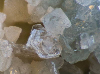 Boulby Mine magnesite crystals on boracite FOV 4 mm