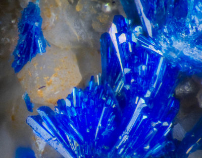 Linarite sprays of crystals on quartz, 18 mm x 14 mm x 12 mm, Nant-Y-Cagel Mine, Wales