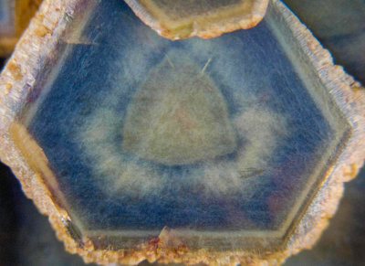 Concentric zoning in siderite, 12 mm across, Huel Maudlin, ca 1819, ex Heuland. Published specimen.
