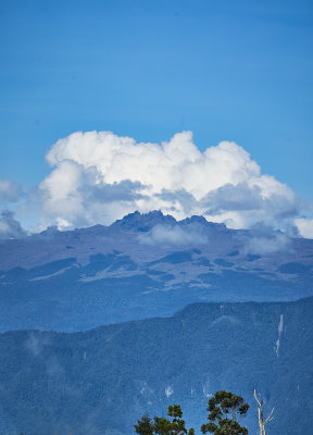 Mount Giluwe, 4367 m, view to west from Rondon Ridge area