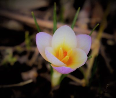 Beating the Winter Blahs
