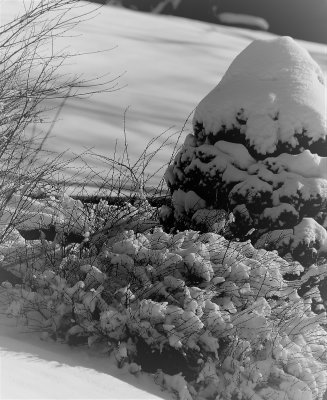 Snow Cones by Design