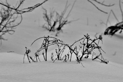Deep Winter Scene