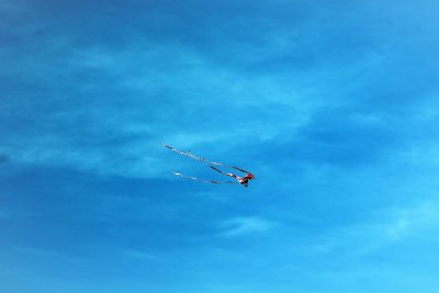 Time to fly a kite