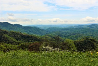 Overview of the Smoky Mountain Range in Springtime