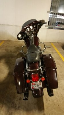 One out of Many Harleys