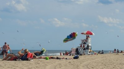 Umbrella in Distress