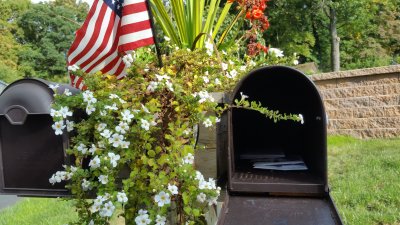Our new mail box