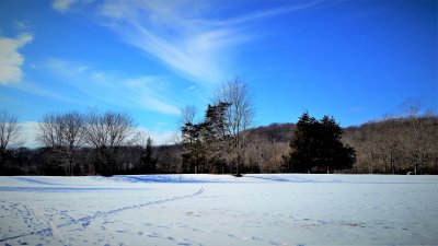 A Brisk Afternoon