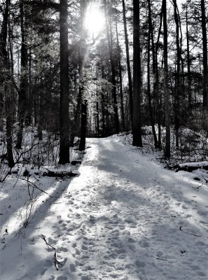 Crunchy Underfoot