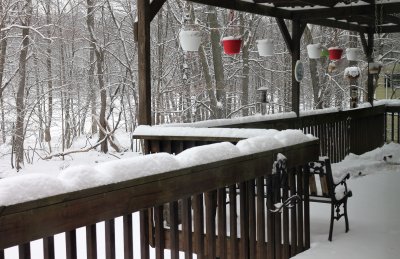 Part of my bird feeder set-up