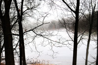 Fog over Frozen Lake