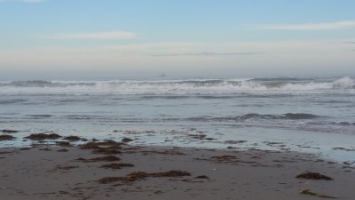 Beach Serene 