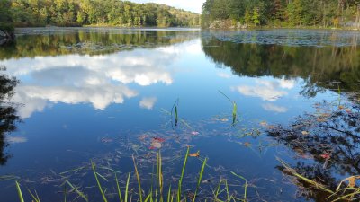 Johnson's Lake on a beautiful fall day.