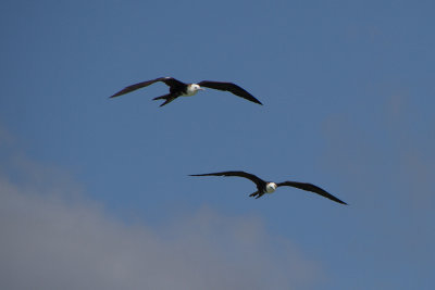 g10/42/1160642/3/167104834.foORcsY6.jpg