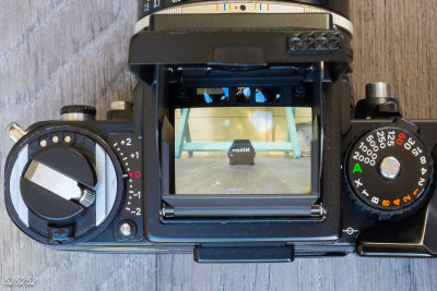Nikon F3 WLF view.jpg