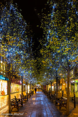 Christmas lights, Worcester.jpg