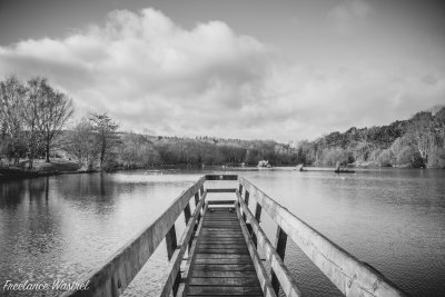 Osbornes Pond, Shipley Country Park.jpg