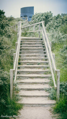 Steps up to the Round and Round House, Anderby Creek.jpg