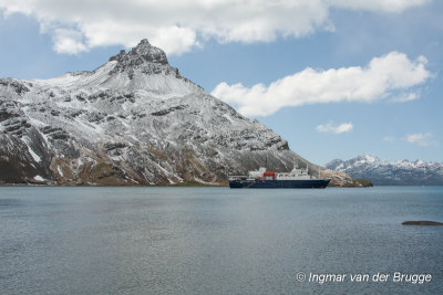 MV Ortelius anchored at Grytviken