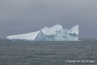 Iceberg