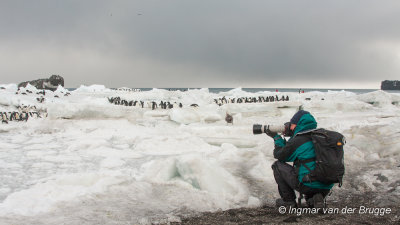Myself, photographing Adelie Penguins