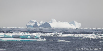 Iceberg